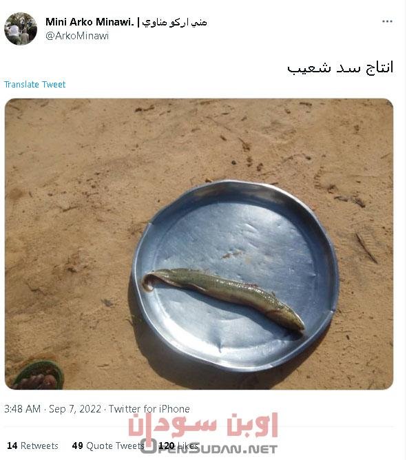 سمكة سد شعيب مني أركو مناوي