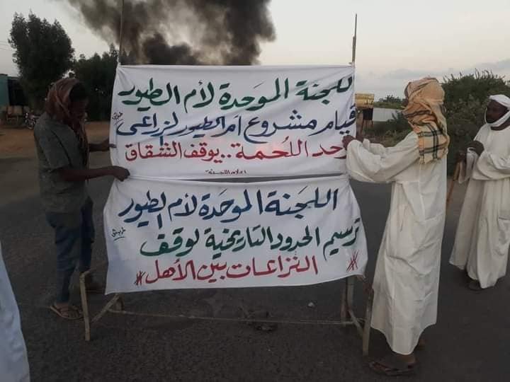 كبري ام الطيور