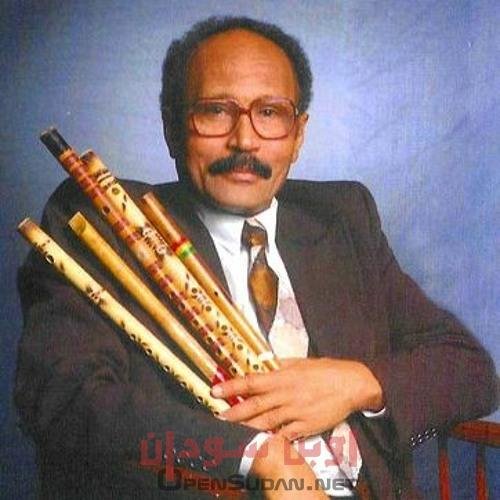 حافظ عبدالرحمن