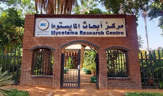 مركز أبحاث المايستوما